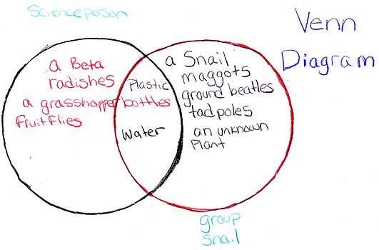 venn diagram template. on one page is a venn diagram