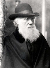 Charles Darwin at age 72 on the veranda at Down