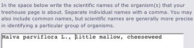 organism names